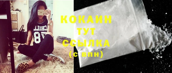соль ск Белая Холуница
